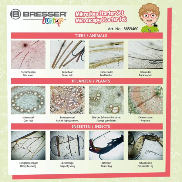 Bresser Junior set preparata - Slika 6